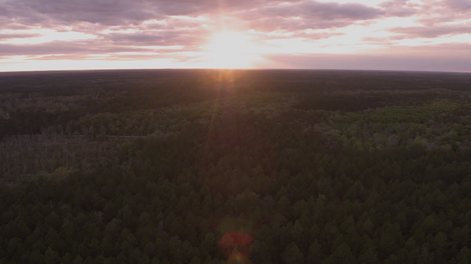 Tree top aerial drone footage of the White Oak property, Aerial view of The Dye Course at White Oak